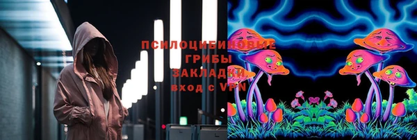 гашик Баксан