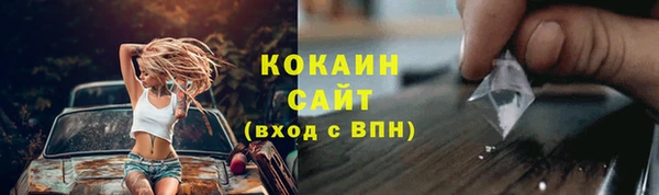 индика Армянск
